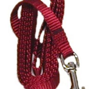 AK-9 Nylon Lead 3/8 x 6ft