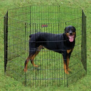 TUFF TX48 Black ExPen with Door