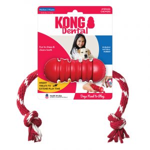 KONG Dental w/Rope Medium