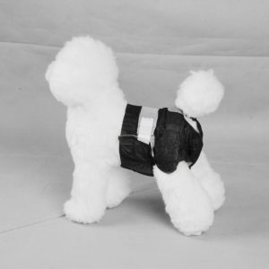 PAWISE Black Disposable Diapers - 12pk M 8-14 lbs