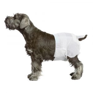 PAWISE Disposable Diapers - 12pack M 8-14 lbs