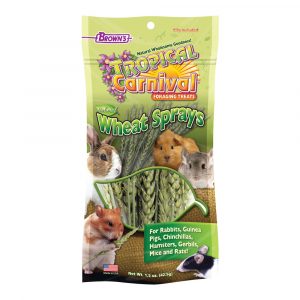 FM BROWN Tropical Carnival Wheat Sprays 1.5 oz
