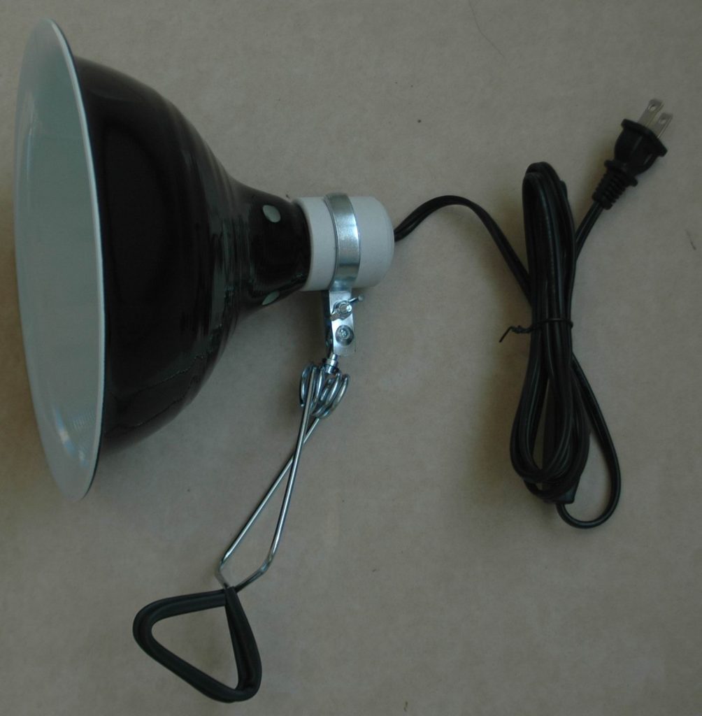 REPTI-FIT Black Dome Clamp Lamp 8.5 in