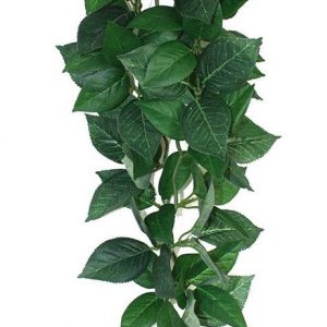 KOMODO Sumatra Hanging Vine 13cm