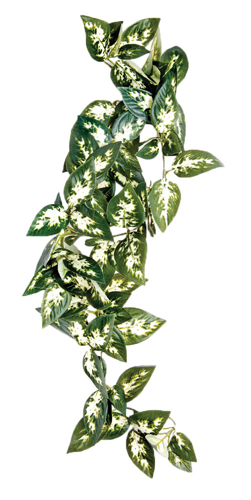 KOMODO Borneo Hanging Vine 23cm