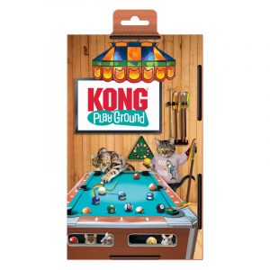 KONG Playground Pool Table