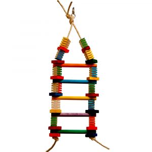 ZOO-MAX GROOVY LADDER (24" X 9")