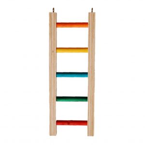 ZOO-MAX HARDWOOD LADDER (4.50"W) 1 FEET (COL)