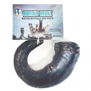 QT DOG Buffalo Horn Medium