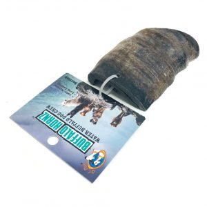 QT DOG Buffalo Horn Flanks