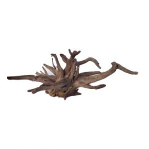 AQUAGLOBE Xxlarge Sabawood