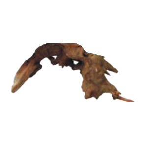 AQUAGLOBE Small Pacific Wood