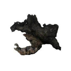 AQUAGLOBE Large Blackwood