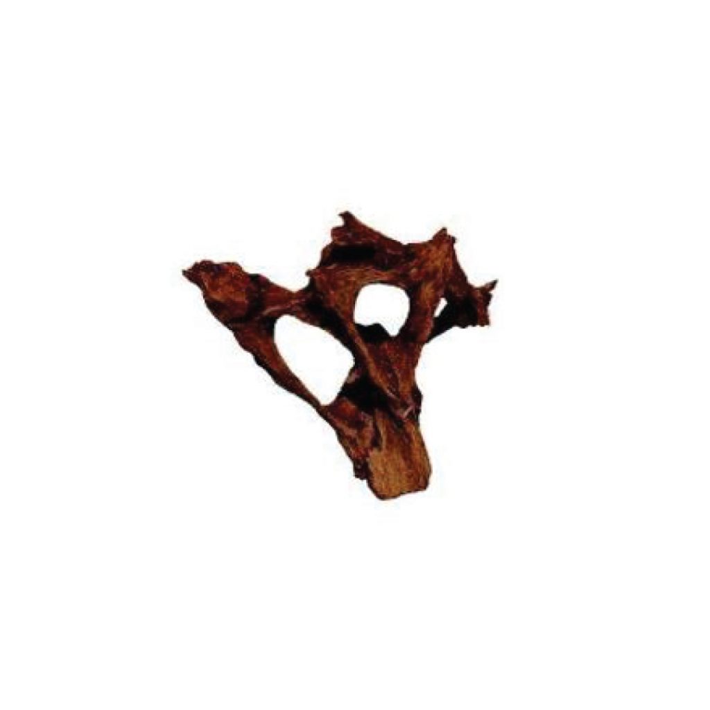 AQUAGLOBE Malaysian Wood XL