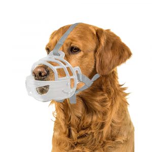 PAWISE TPR Transparenter Basket Muzzle XL