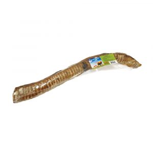 BULLSTERS Tubester Trachea 14-17in (20)