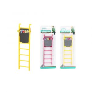PAWISE Bird ladder with mirror
