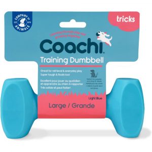 COACHI Training Dumbbell Light Blue Large