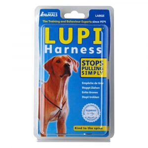 LUPI - Large