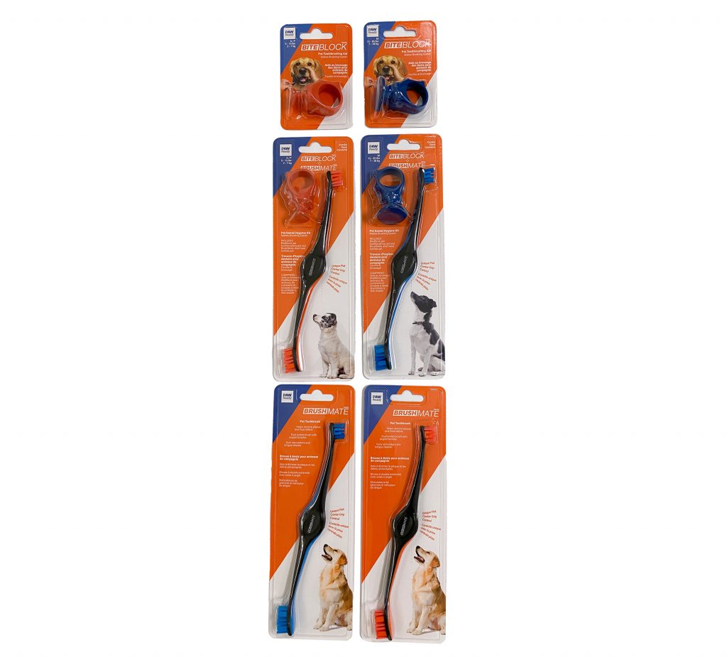 Paw Ready Dental ISO 20pcs