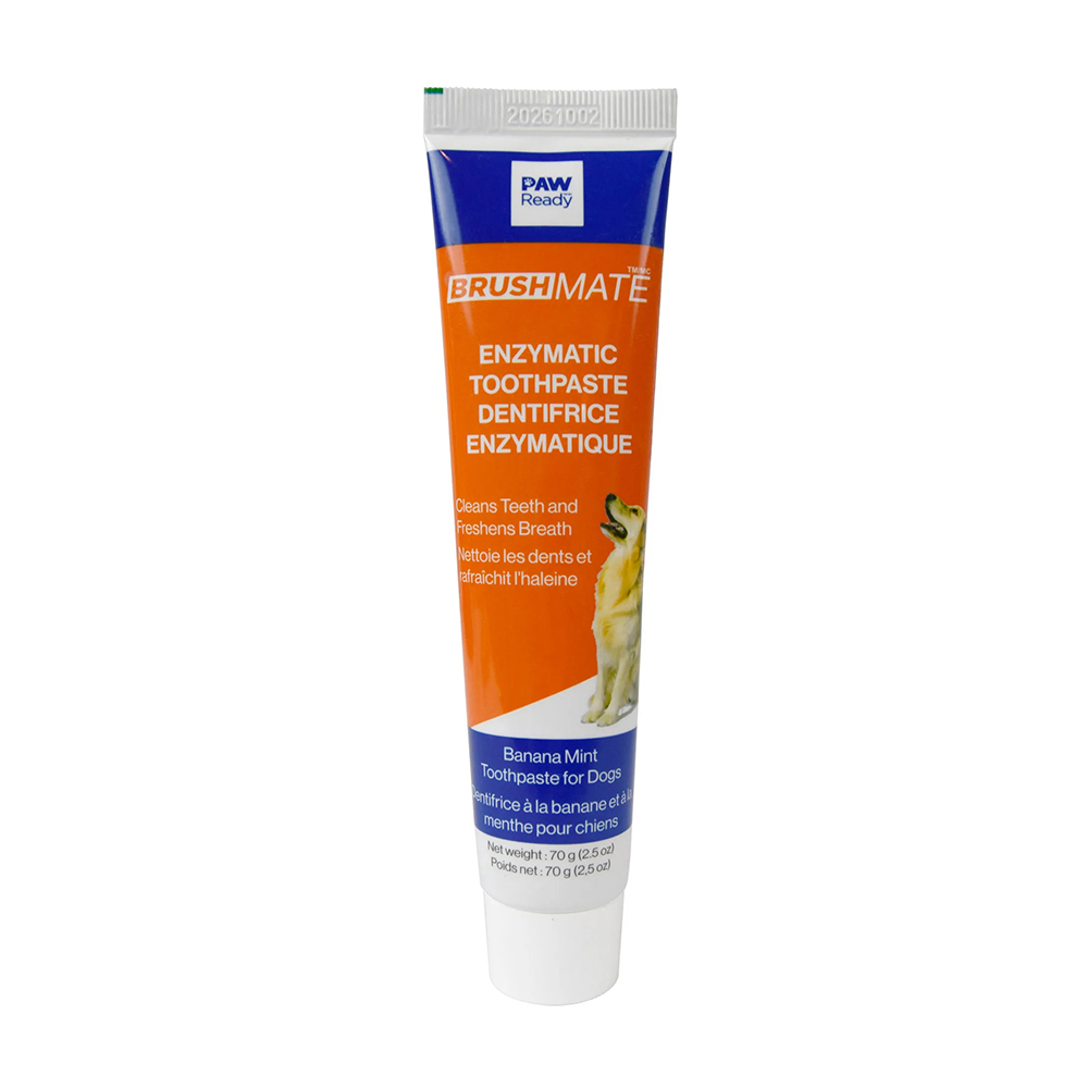 Paw Ready Enzematic BrushMate Toothpaste - Banana Mint