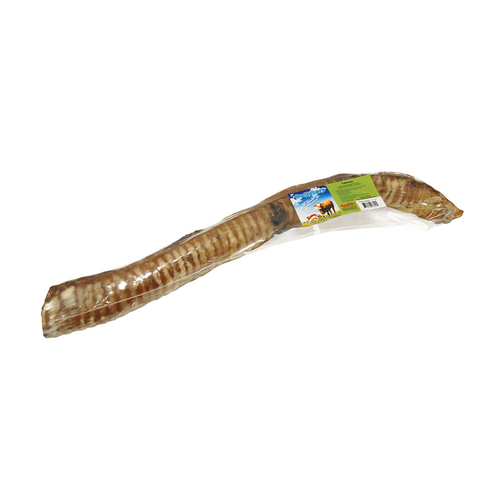 BULLSTERS Tubester Trachea 11-12in (20)