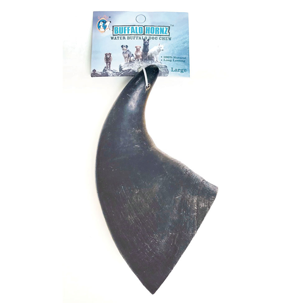 QT DOG Buffalo Horn Large