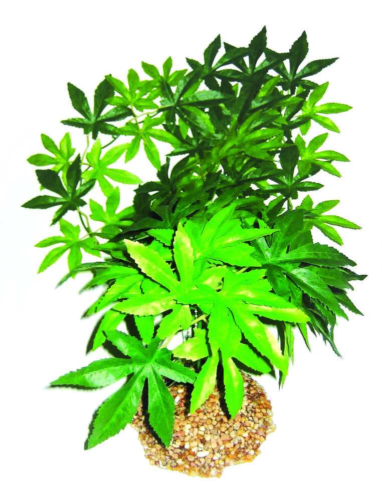 GLOFISH Plant Small Orange/Yellow