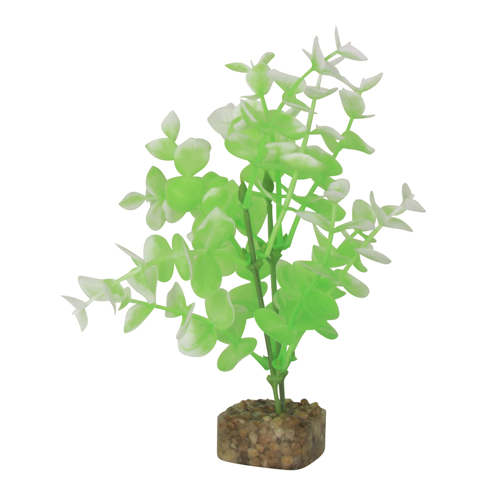 GLOFISH Plant Medium Green/White