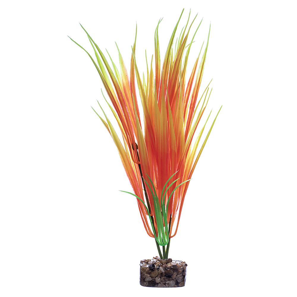 GLOFISH Plant Medium Orange/Yellow
