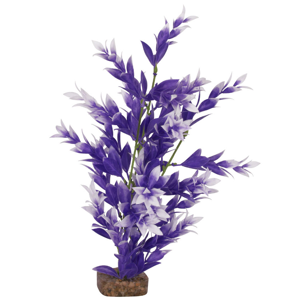 GLOFISH Plant Medium Purple/White