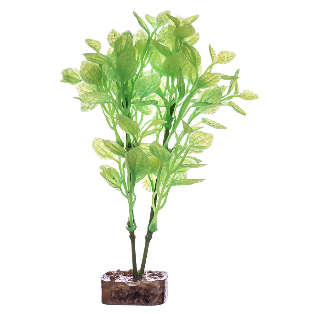 GLOFISH Plant Large Green/Yellow