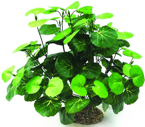 GLOFISH Plant Large Purple/Green