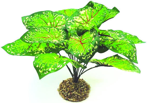 GLOFISH Plant Large Purple/White