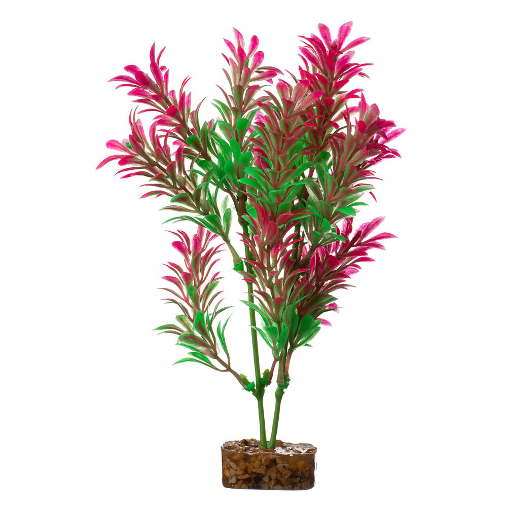 GLOFISH Plant X-Large Green/Pink