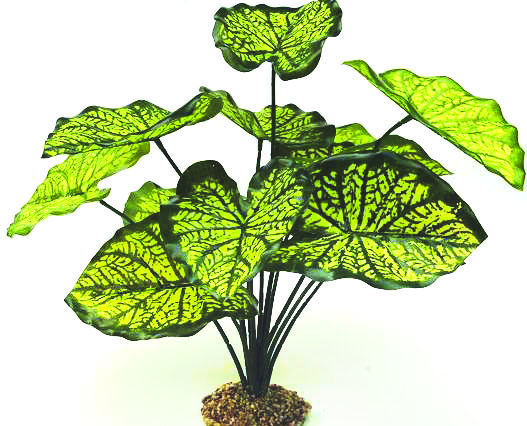 GLOFISH Plant Yellow Fern Md