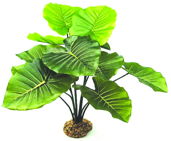 GLOFISH Plant Javamoss Md