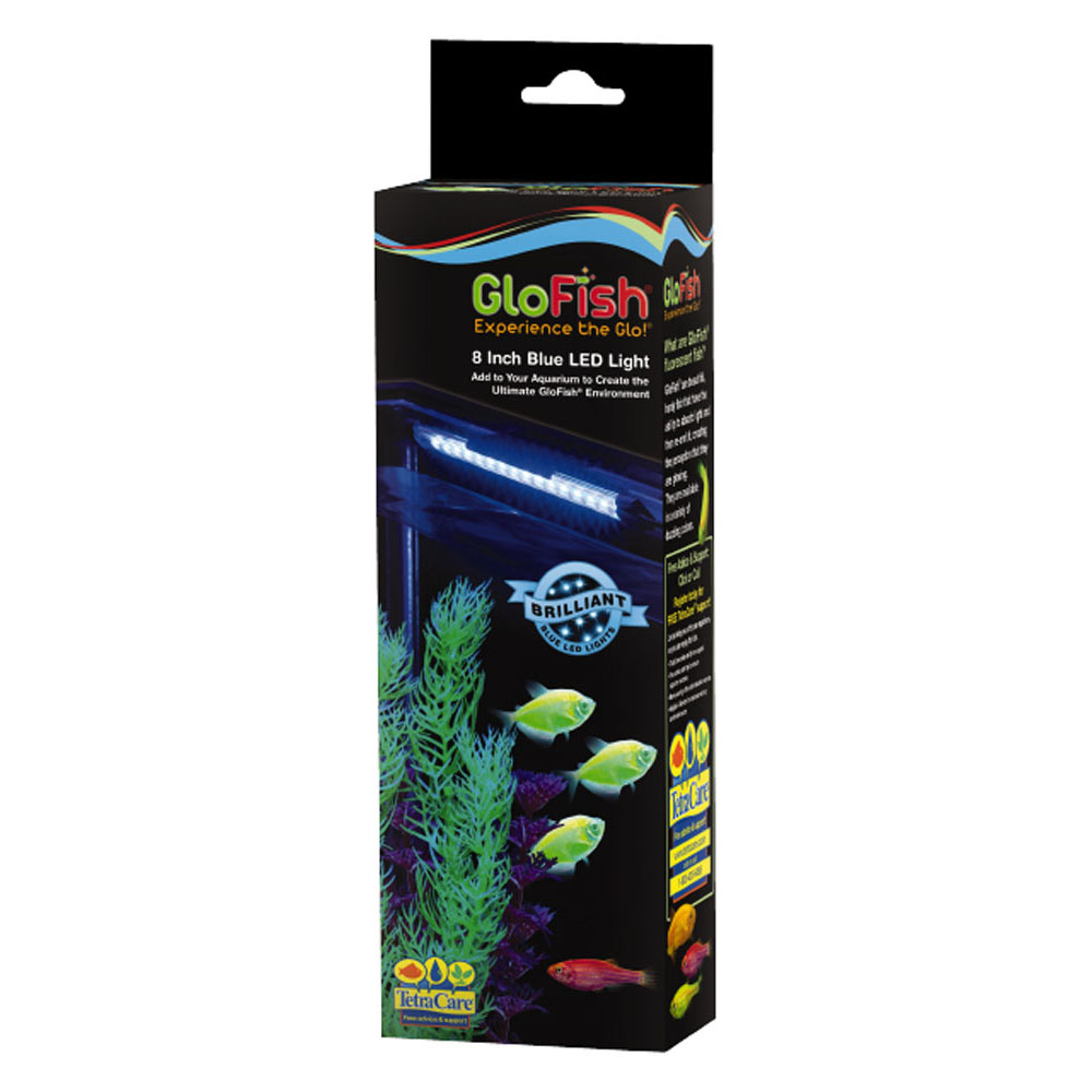 GLOFISH LED Light Stick All Blue 8"