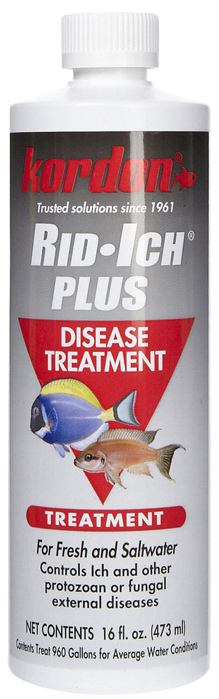 KORDON Rid-Ich + Disease Treatment 16 oz