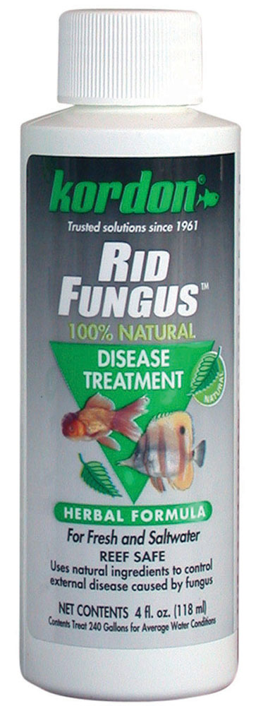 KORDON Rid Fungus 4 oz