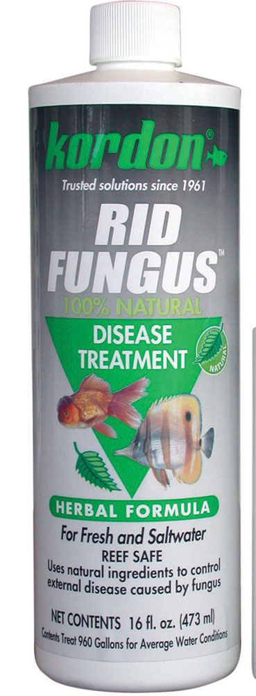 KORDON Rid Fungus 16 oz