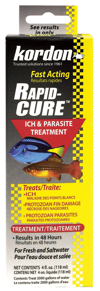 KORDON Rapid Cure 4 oz