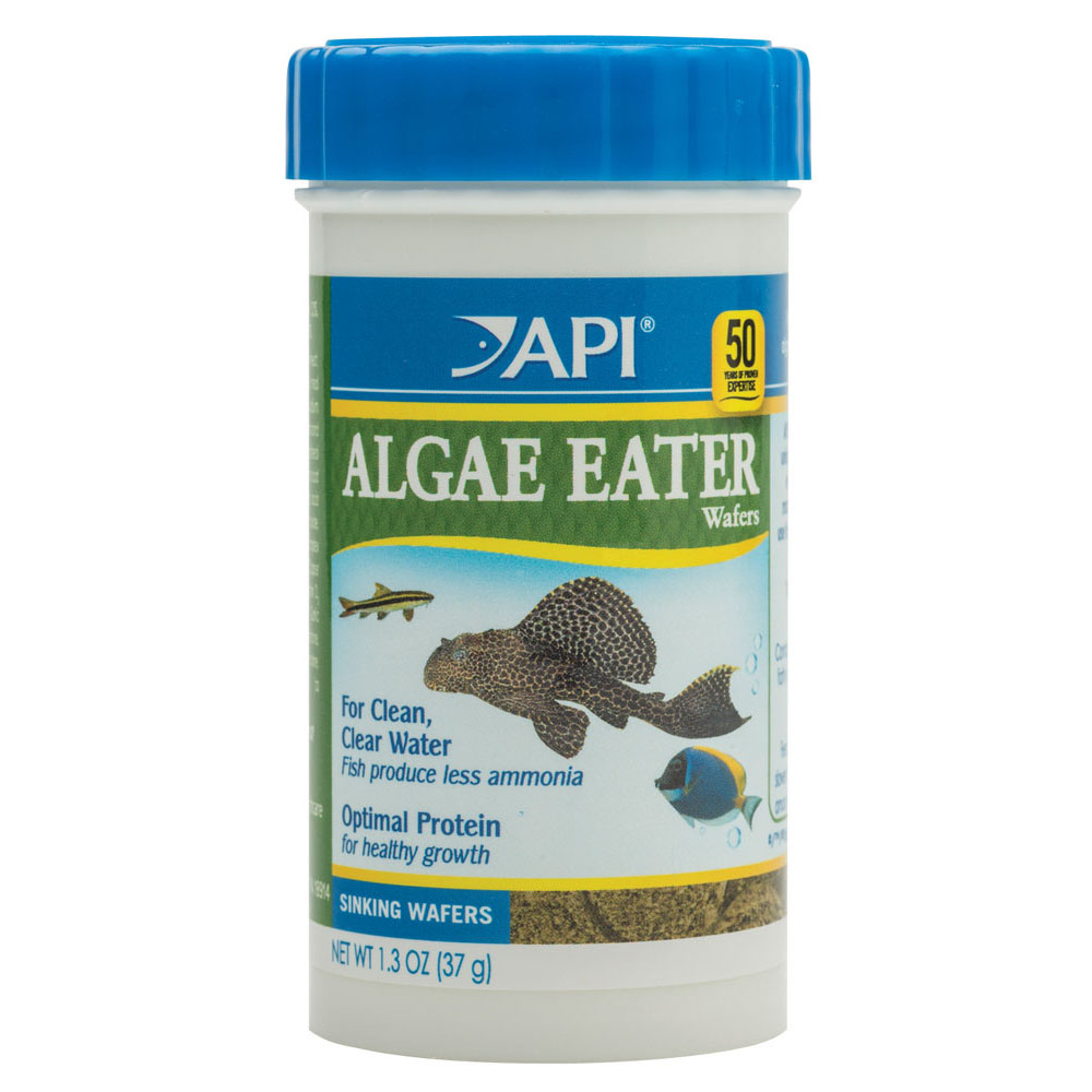 API Algae Eater Wafers 1.3 oz