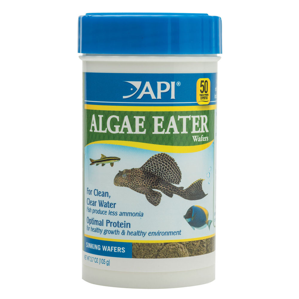 API Algae Eater Wafers 3.7 oz