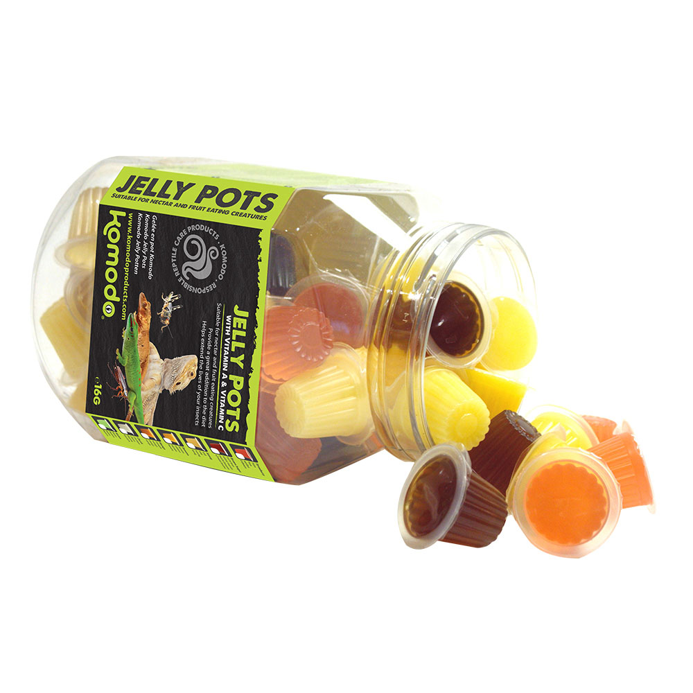 KOMODO Jelly Pots Mixed Flavours Display Jar of 60