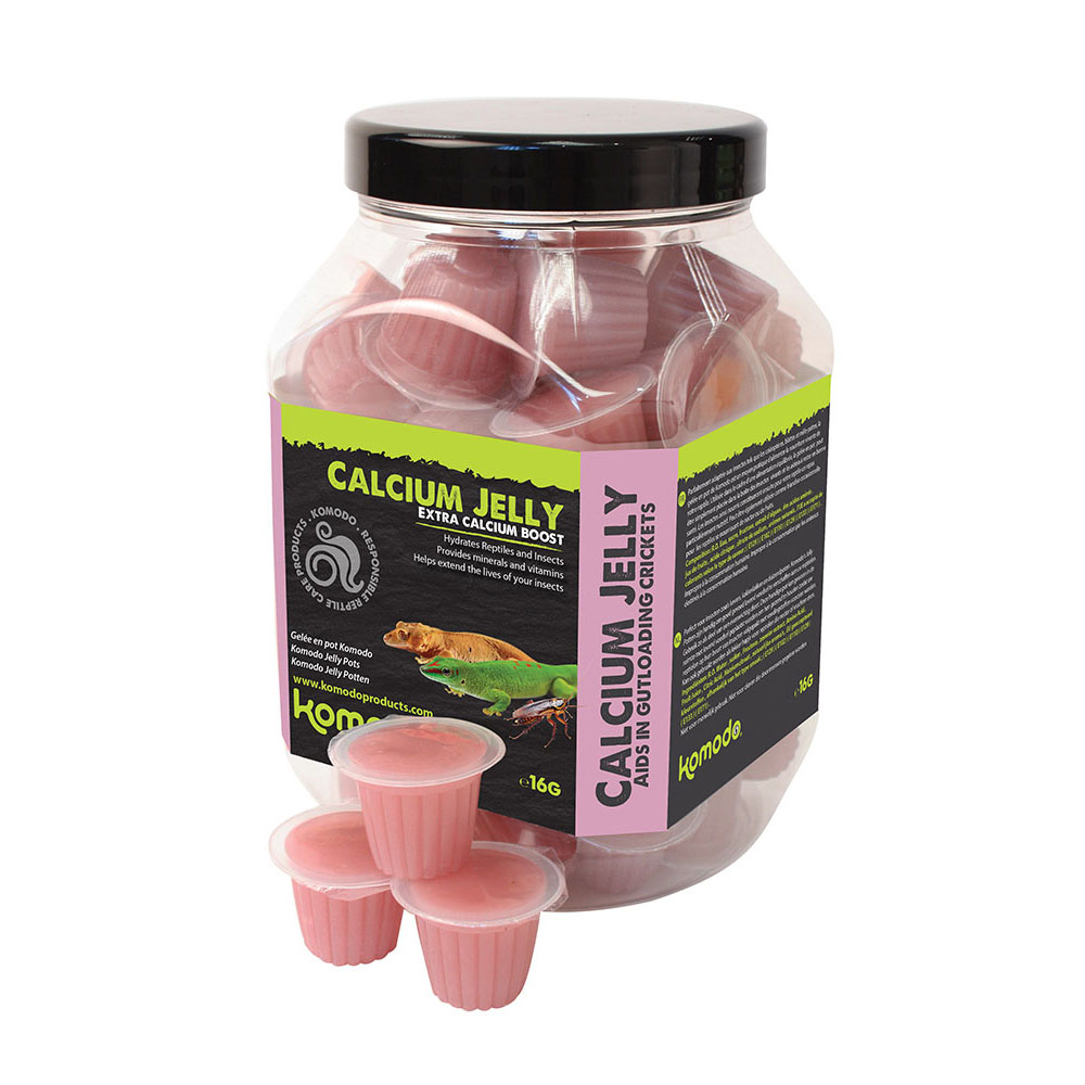 KOMODO Jelly Pots Calcium Display Jar of 60