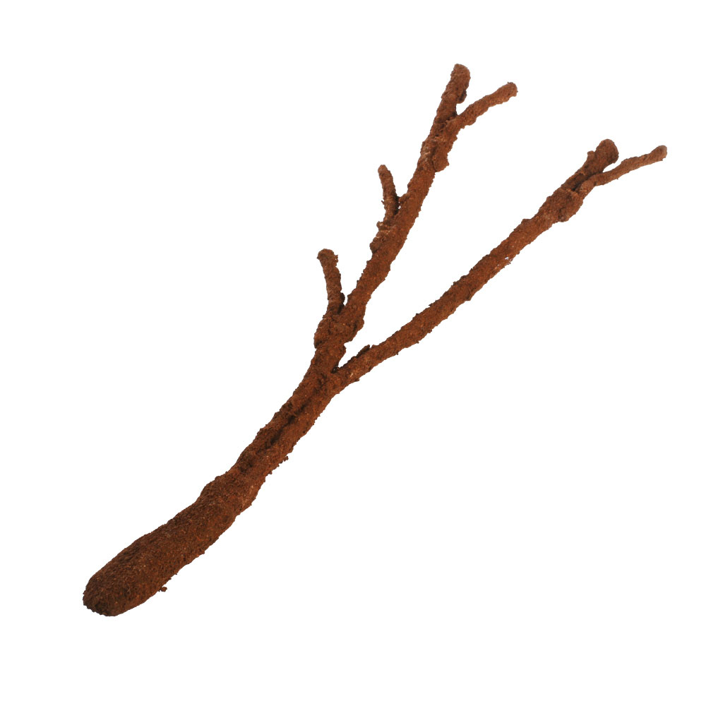 KOMODO Tropical Vine Branch Lge