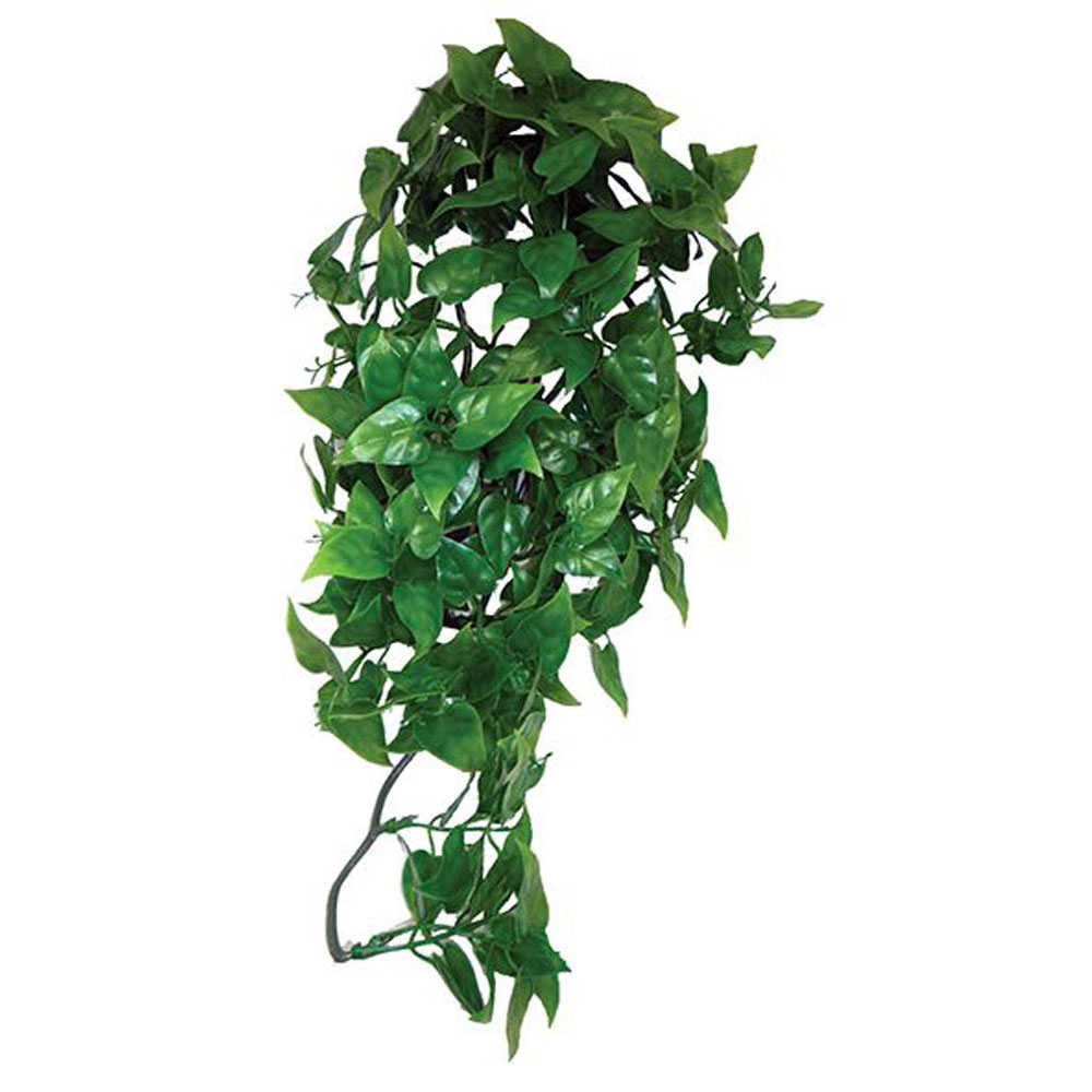 KOMODO Philodendron Hanging Plant 30cm