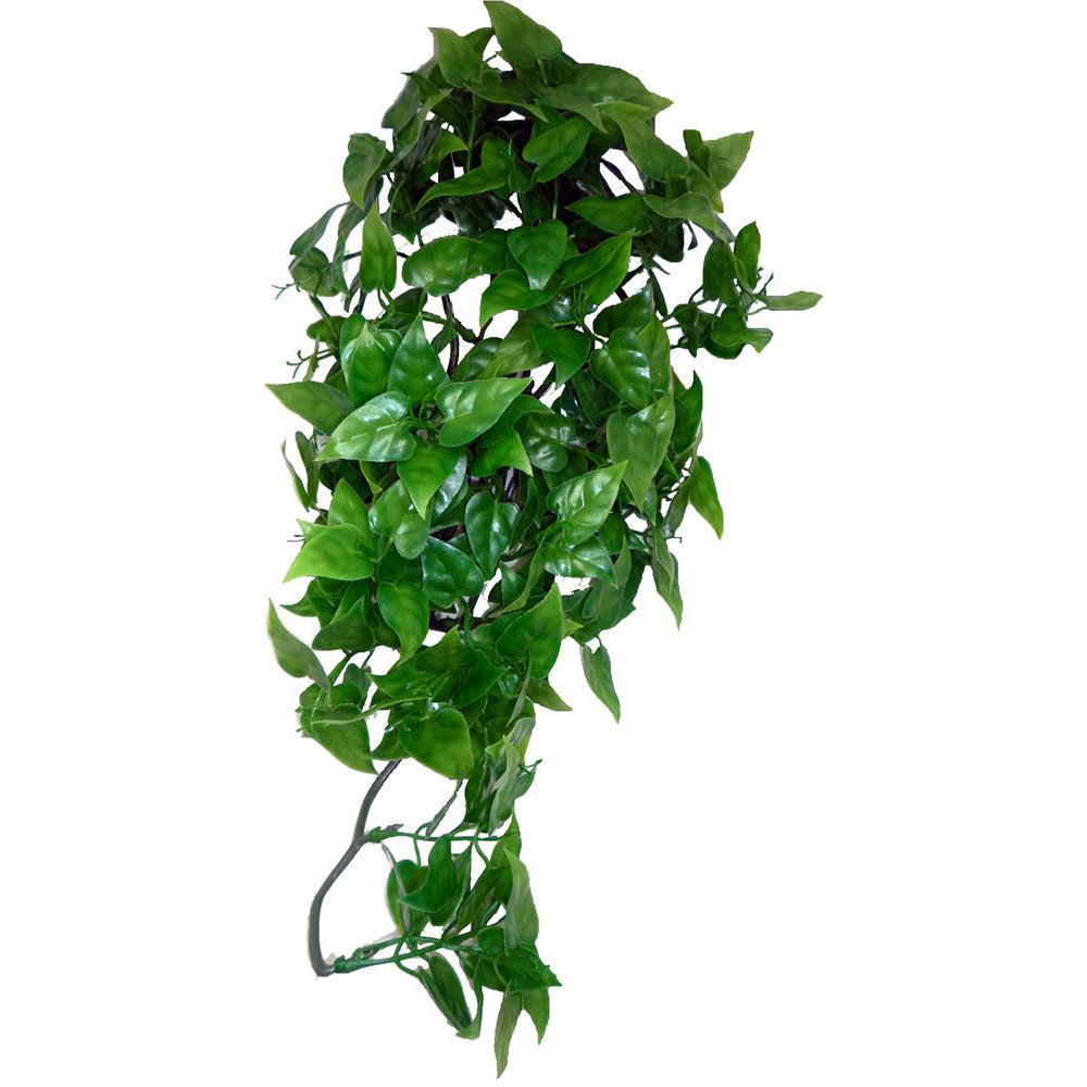 KOMODO Philodendron Hanging Plant 40cm