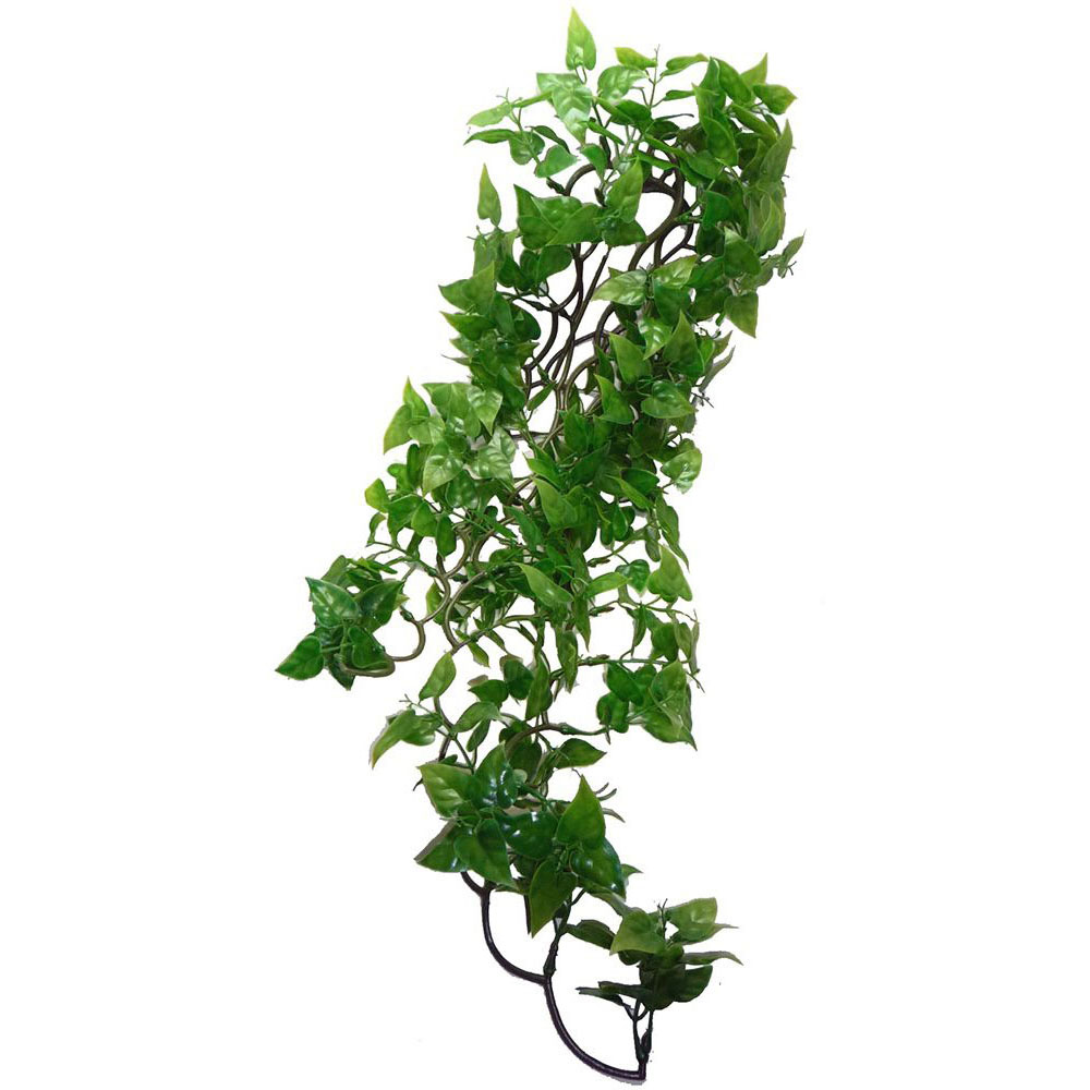 KOMODO Philodendron Hanging Plant 60cm